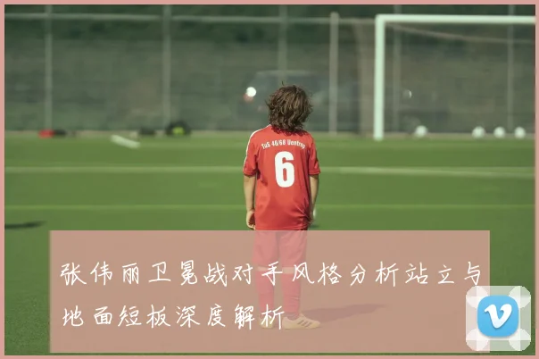 张伟丽卫冕战对手风格分析站立与地面短板深度解析